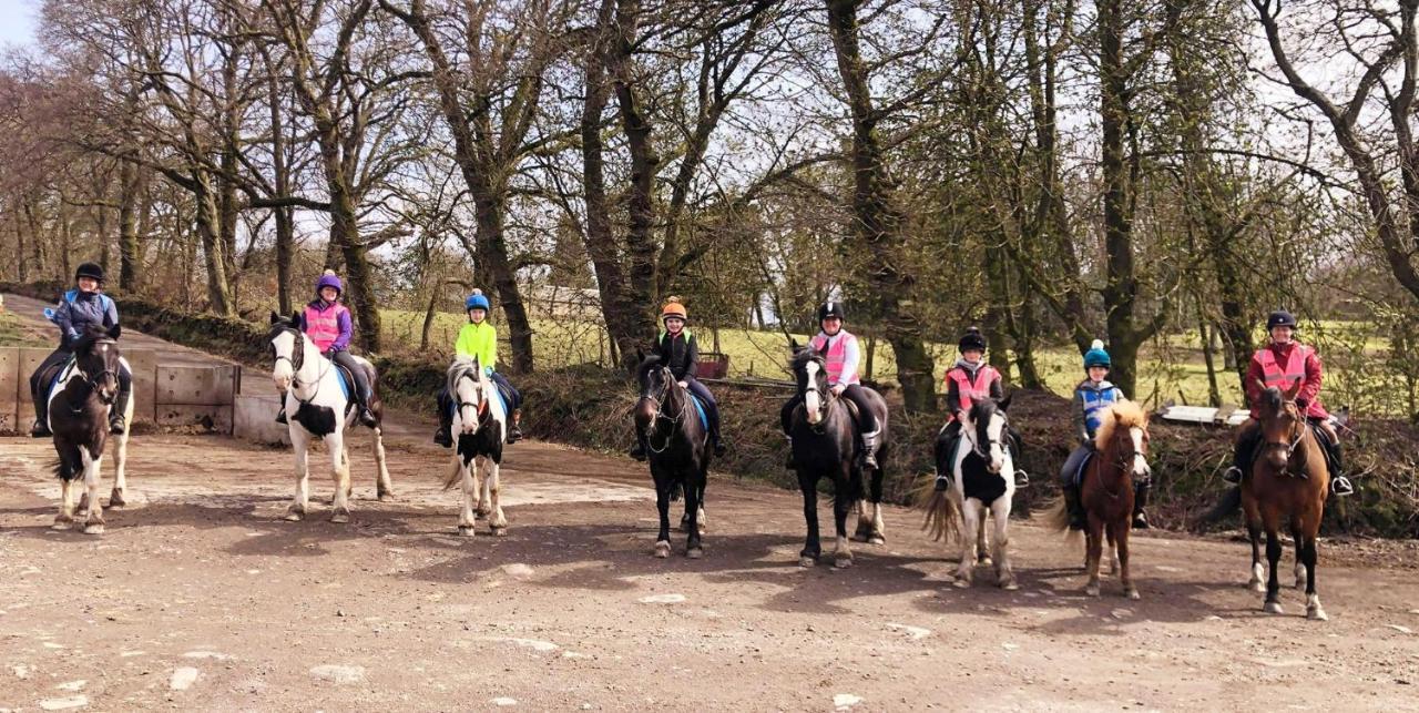 Wellsfield Farm Holiday Lodges Stirling Esterno foto