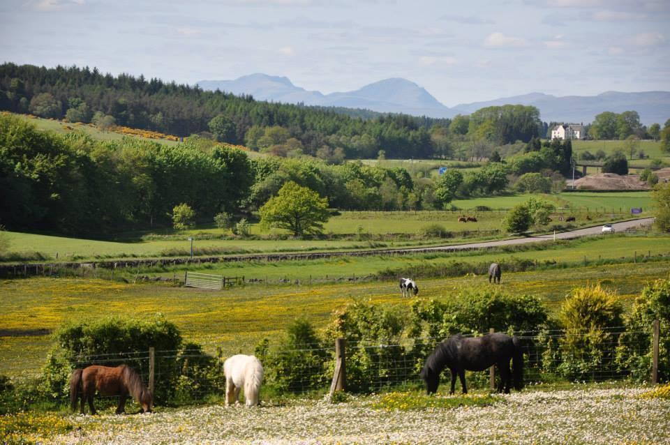 Wellsfield Farm Holiday Lodges Stirling Esterno foto